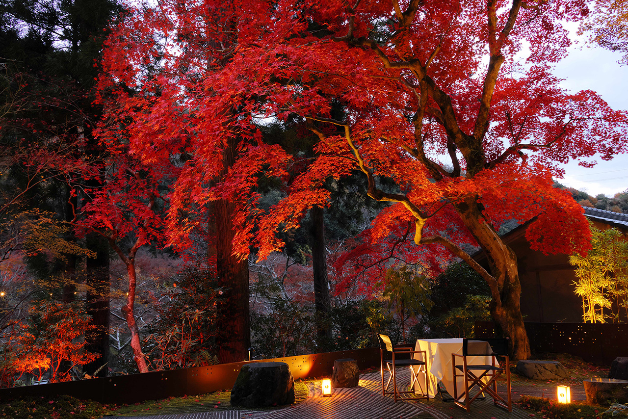 特等席で京都の紅葉を楽しむ「星のや京都」の滞在プログラム〝奥嵐山の錦秋滞在〟